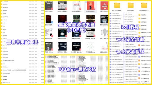 紅隊攻防網(wǎng)絡安全自學路線 從計算機軟硬件基礎(chǔ)入門到專業(yè)實戰(zhàn)