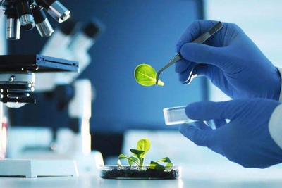 2022年大氣污染治理策略 聚焦生物化工技術研發(fā)與207億預算的優(yōu)化應用