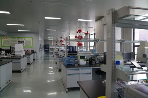 億元級加碼分子育種 博瑞迪生物完成A輪融資，持續深耕動植物育種底層技術
